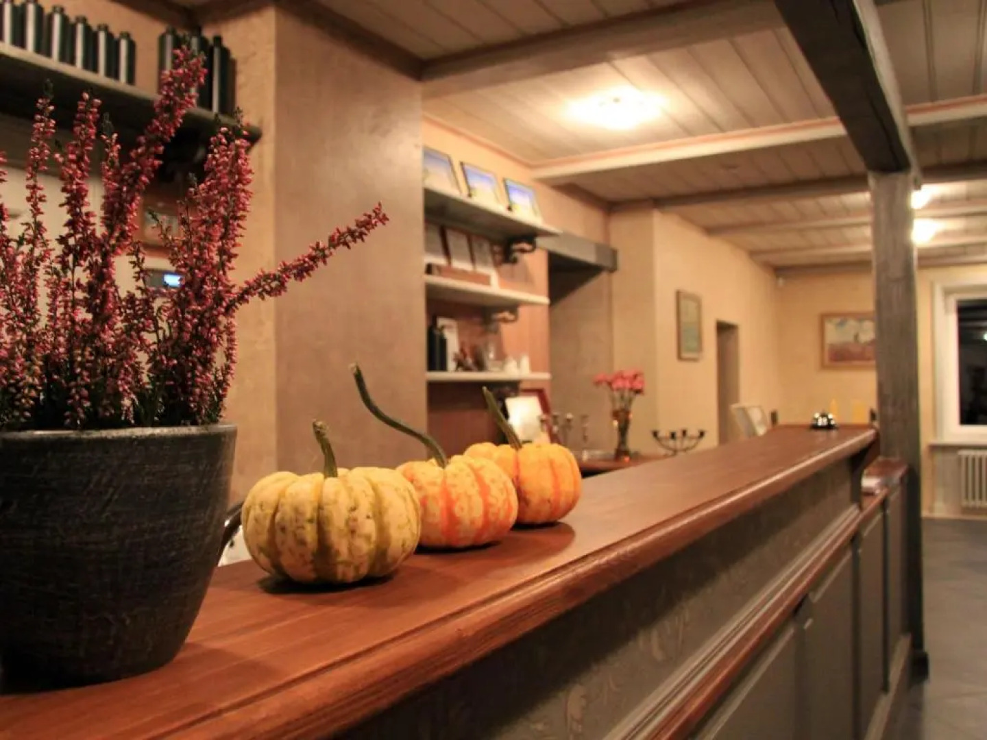 Odzienas Krogusmāja