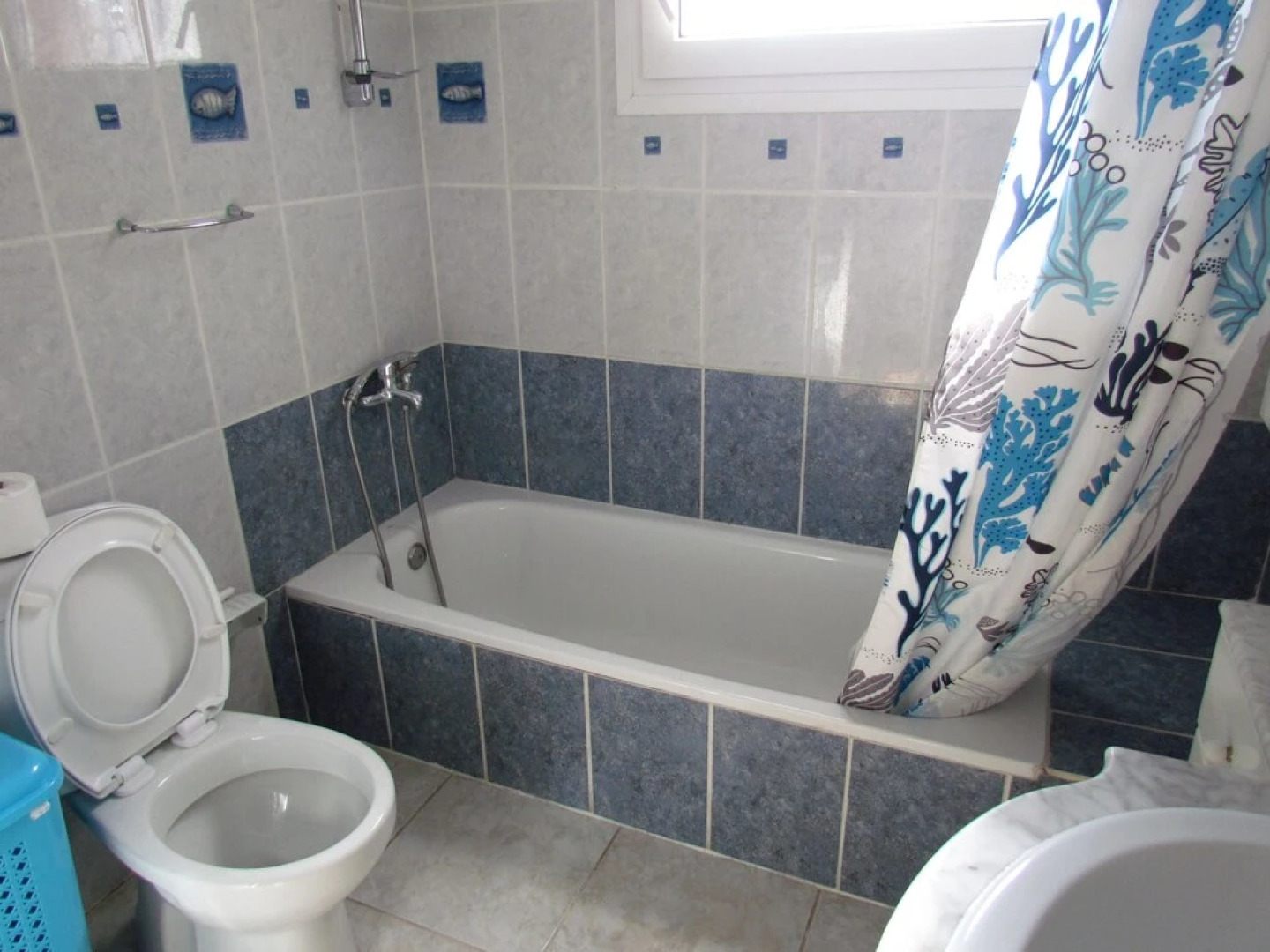 El Oasis de "El Capitán"