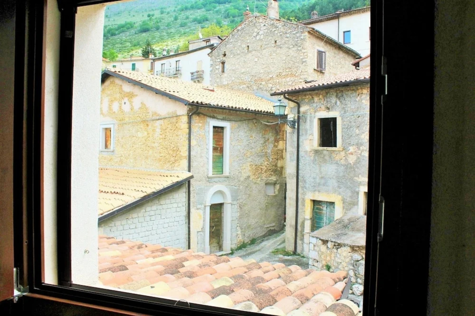 Volpe - Parco Nazionale d'Abruzzo