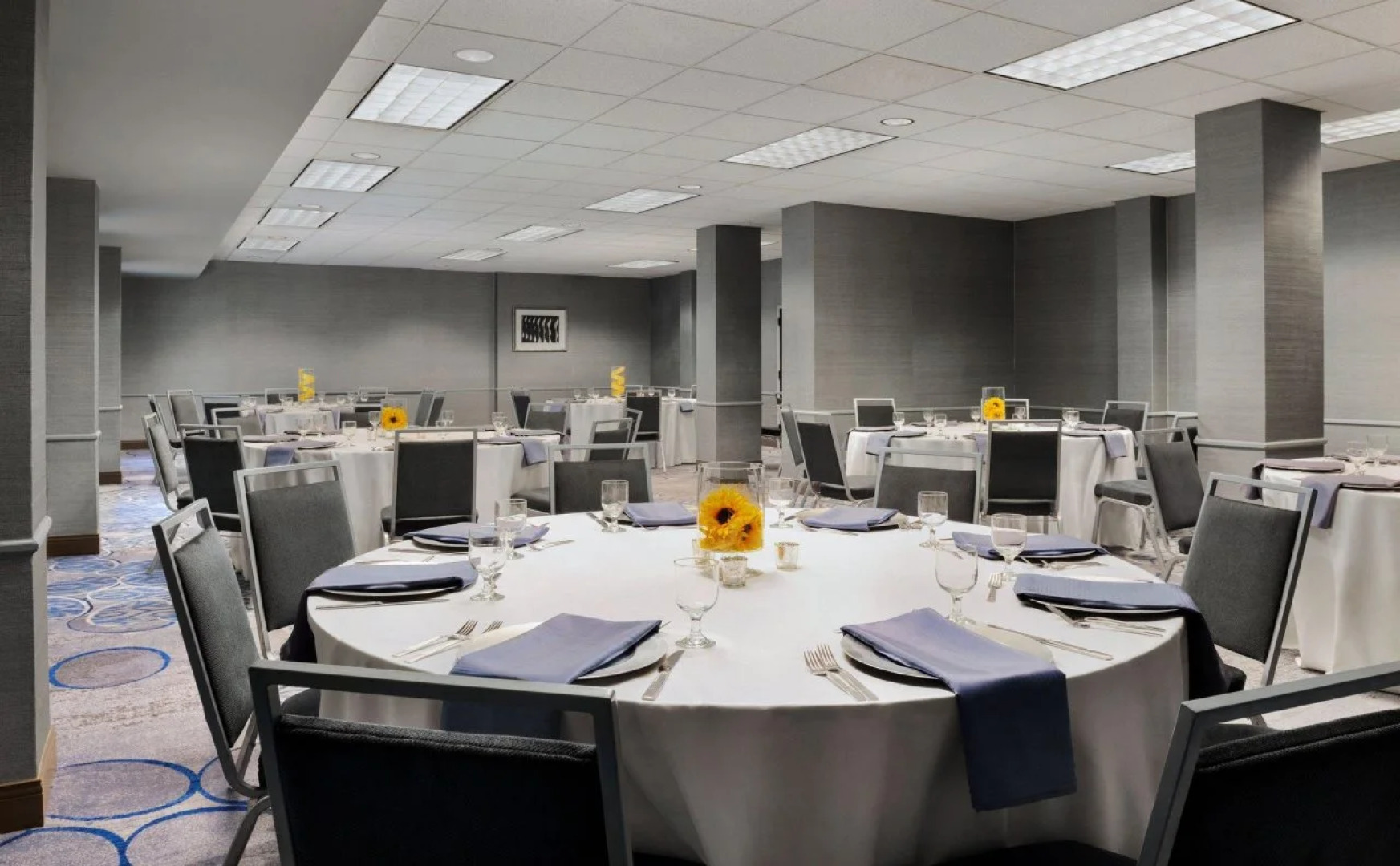 Madison Marriott South