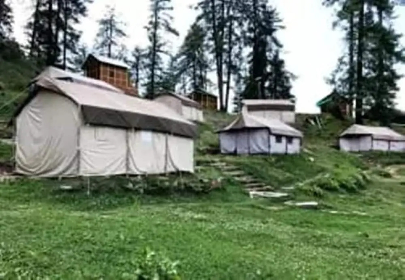 Nature Camp Forest Corporation