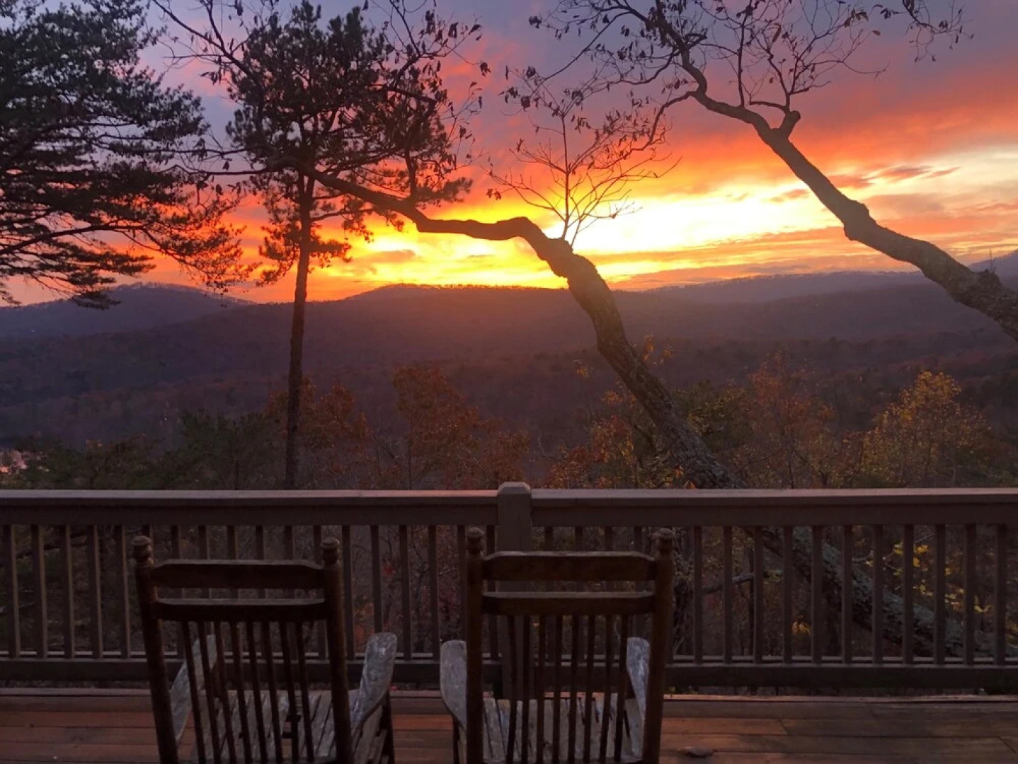 No Guts No Glory House