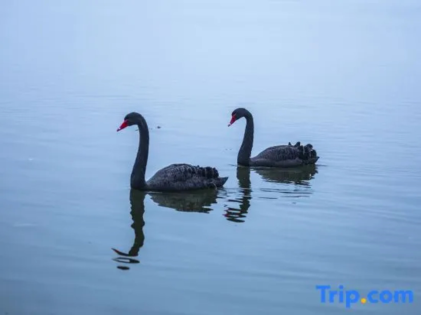 Liyang Hentique Resort & Spa Villa