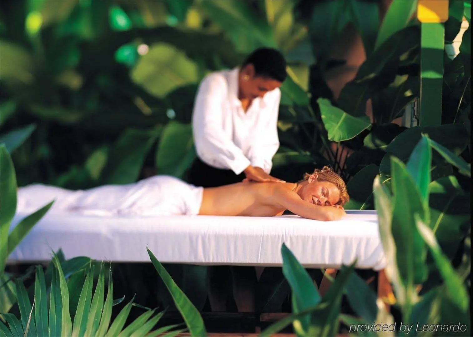 Hedonism II All Inclusive Resort