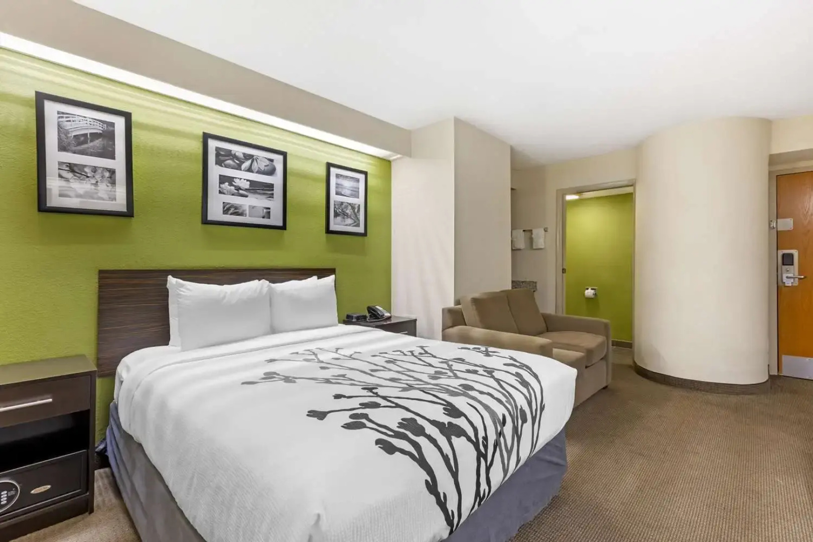 Sleep Inn at Greenville Convention Cente