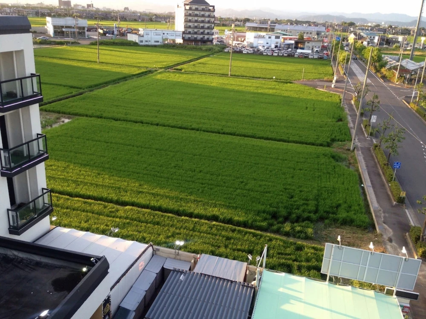 Hotel Tiger & Dragon (Adult Only)