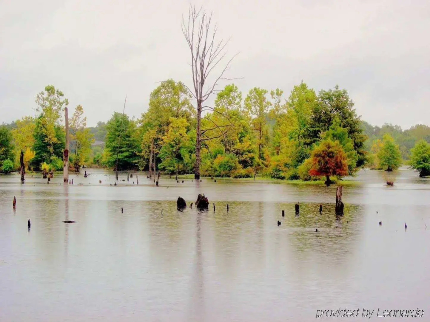 Hampton Inn Terre Haute