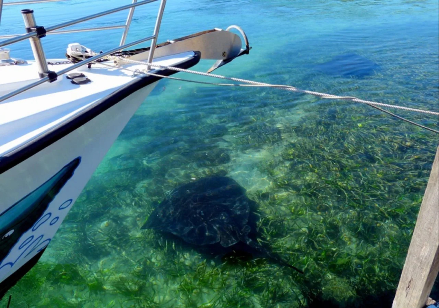 Coastal Comfort Motel