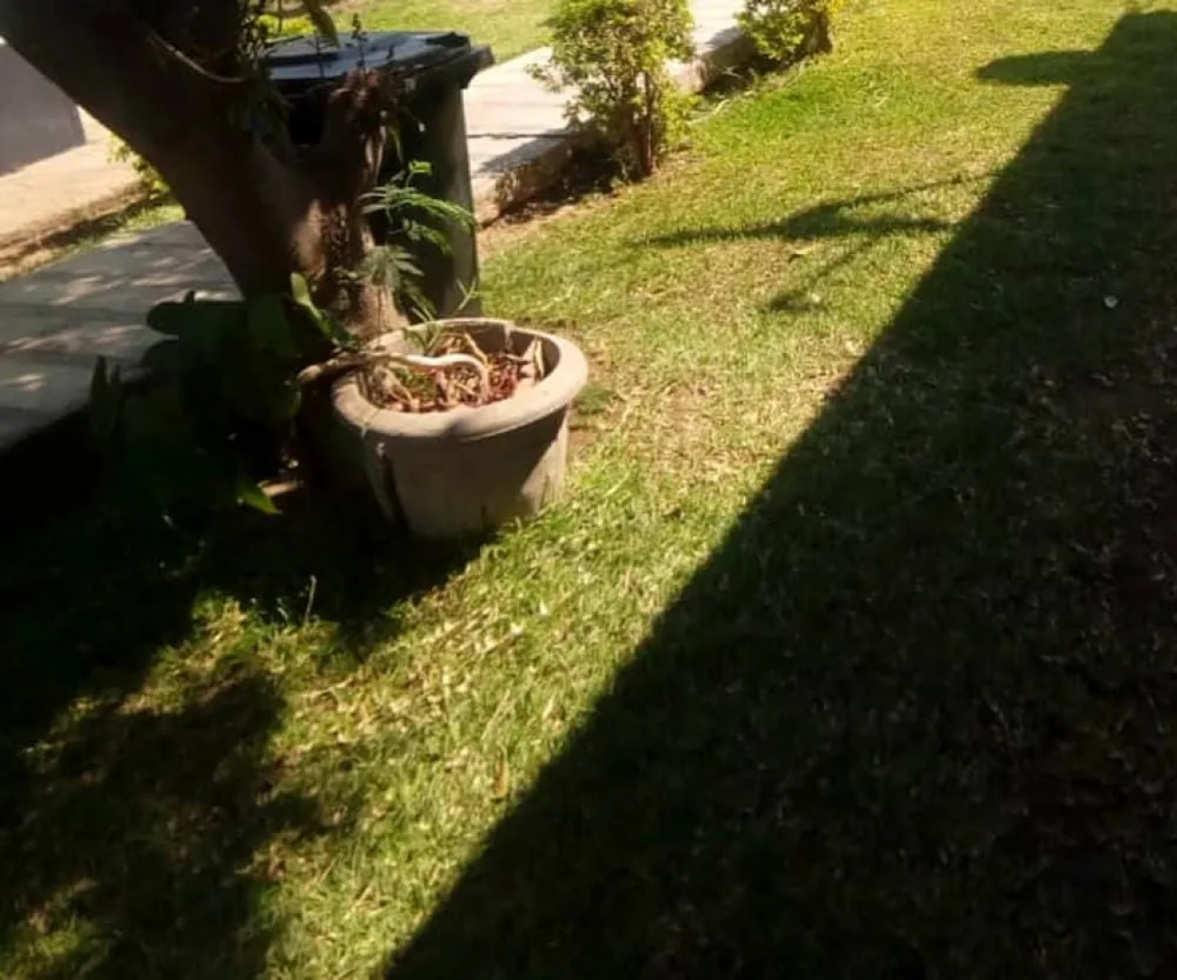 Mwaiseni Maisonettes