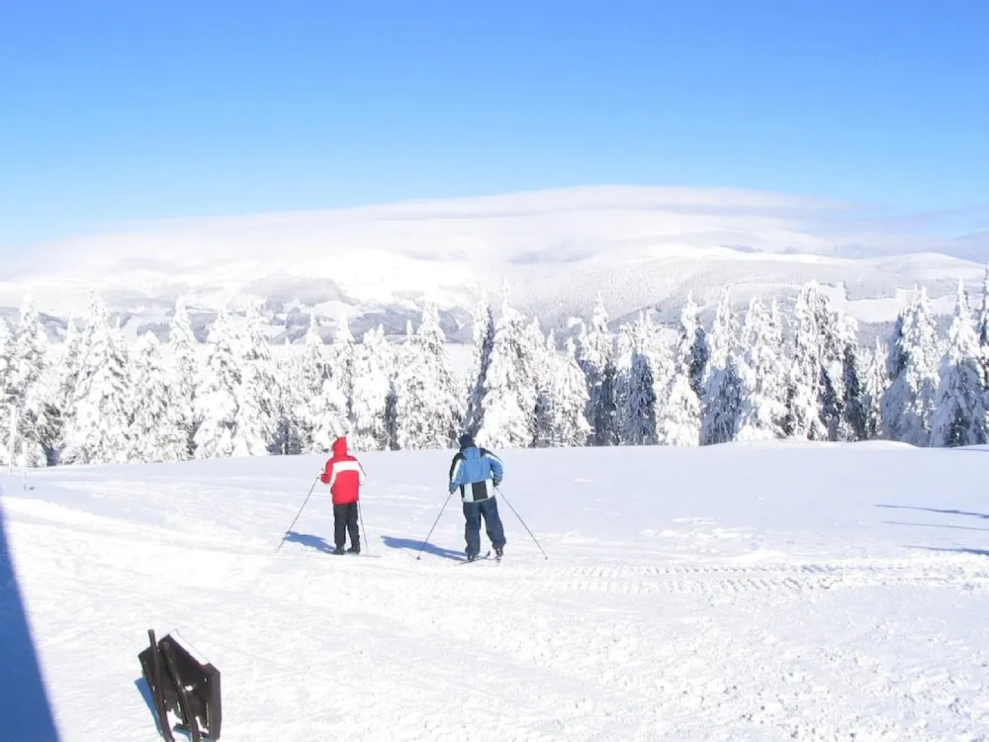 Authentic Holiday Home with Garden near Trutnov