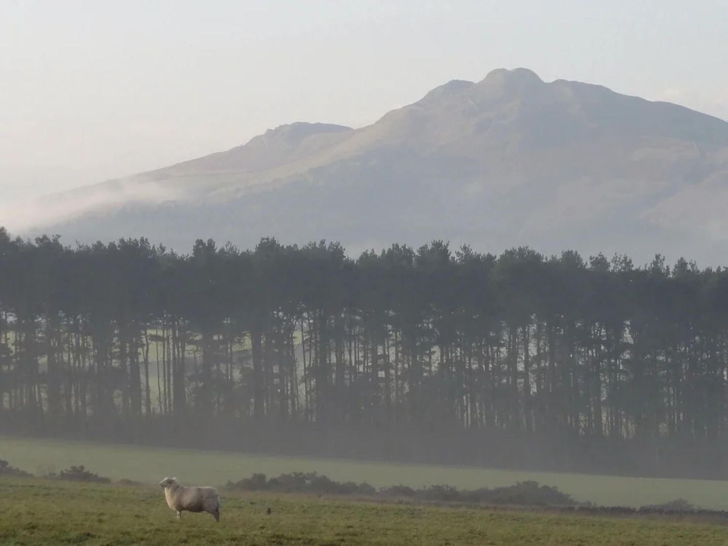 Cottage in Jedburgh With Stunning Views