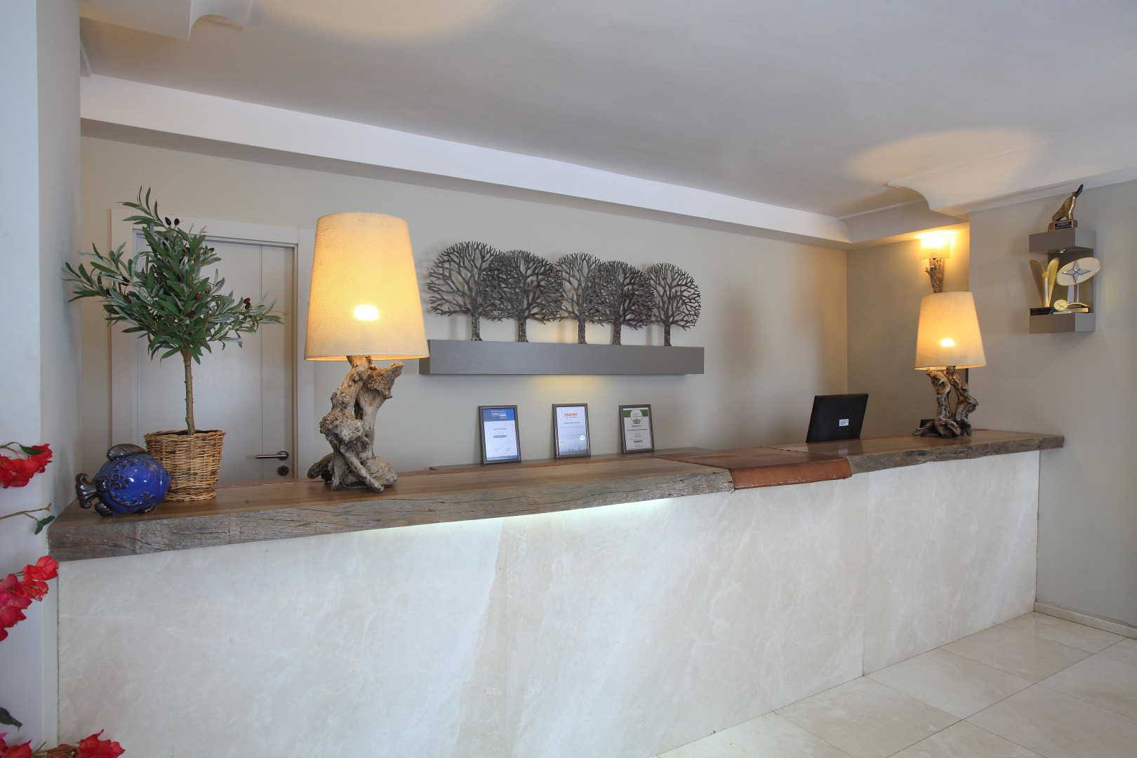 Отель Zeytinada