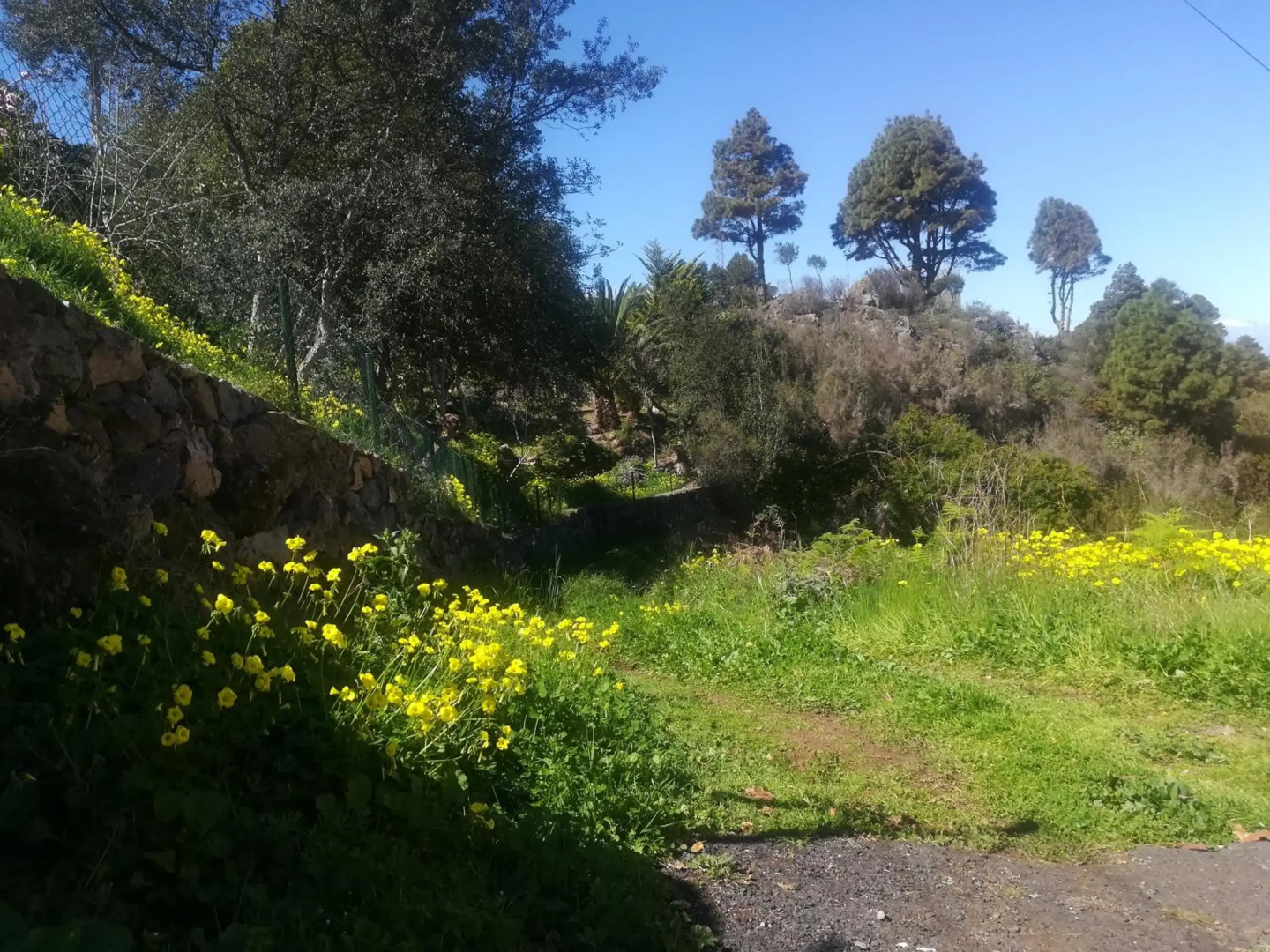 La Campana de Arriba