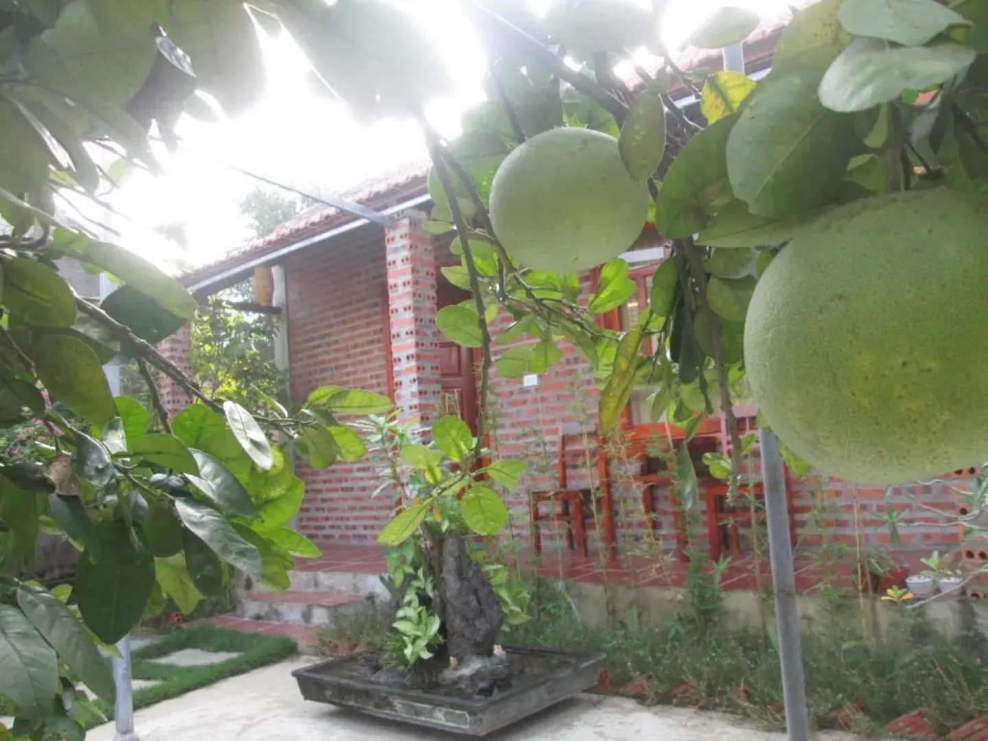 Ninh Binh Nature Homestay