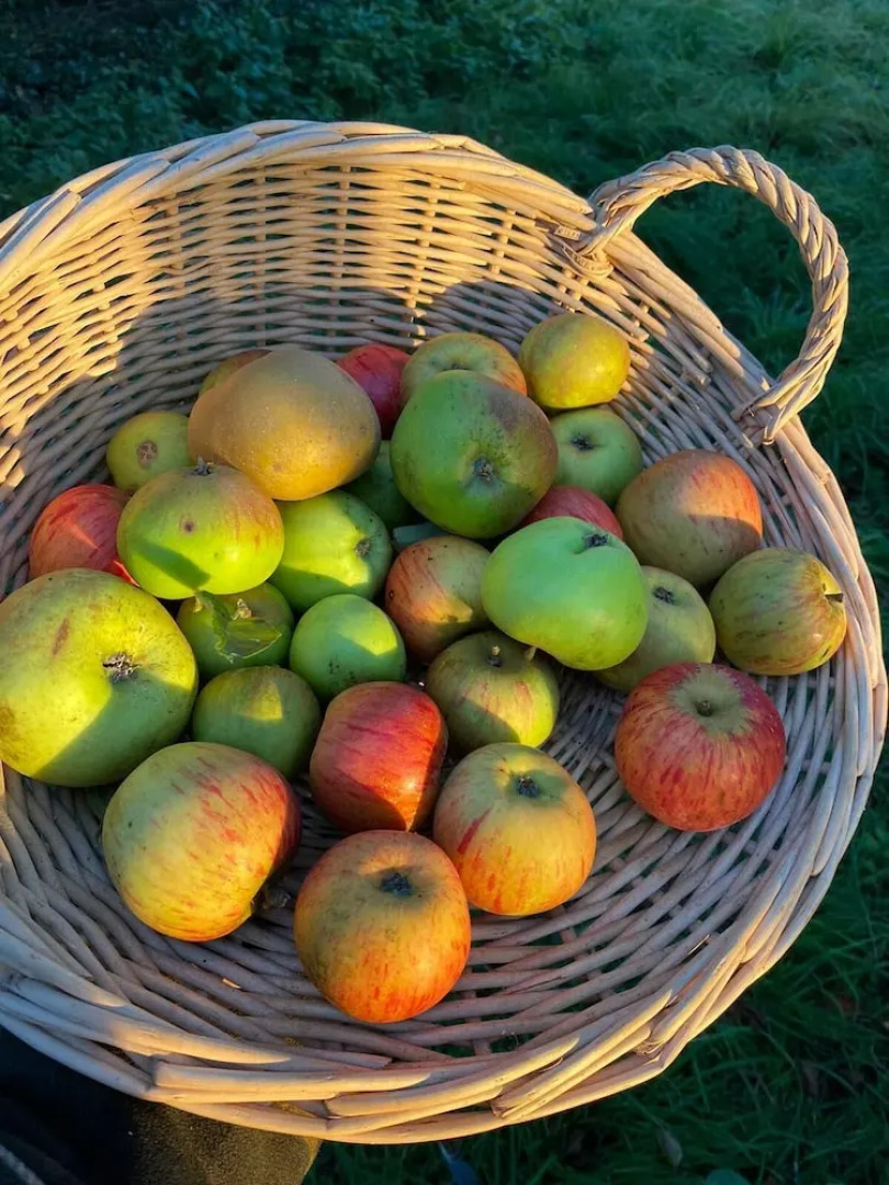 Château La Rametière