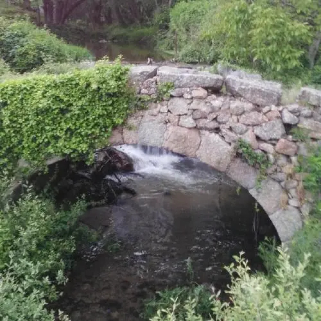 Apartamentos La Plazuela