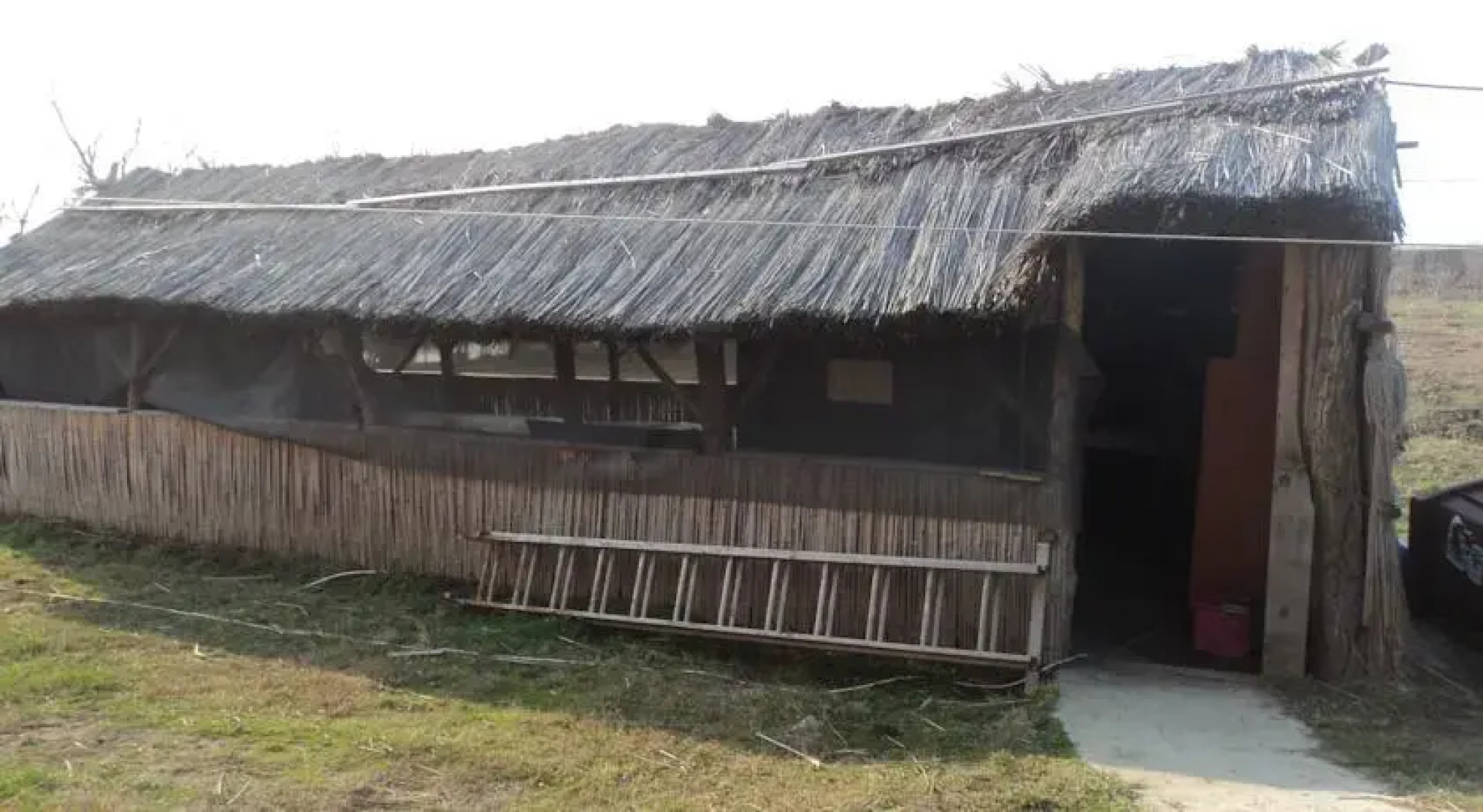 Pensiunea Timona Deltei