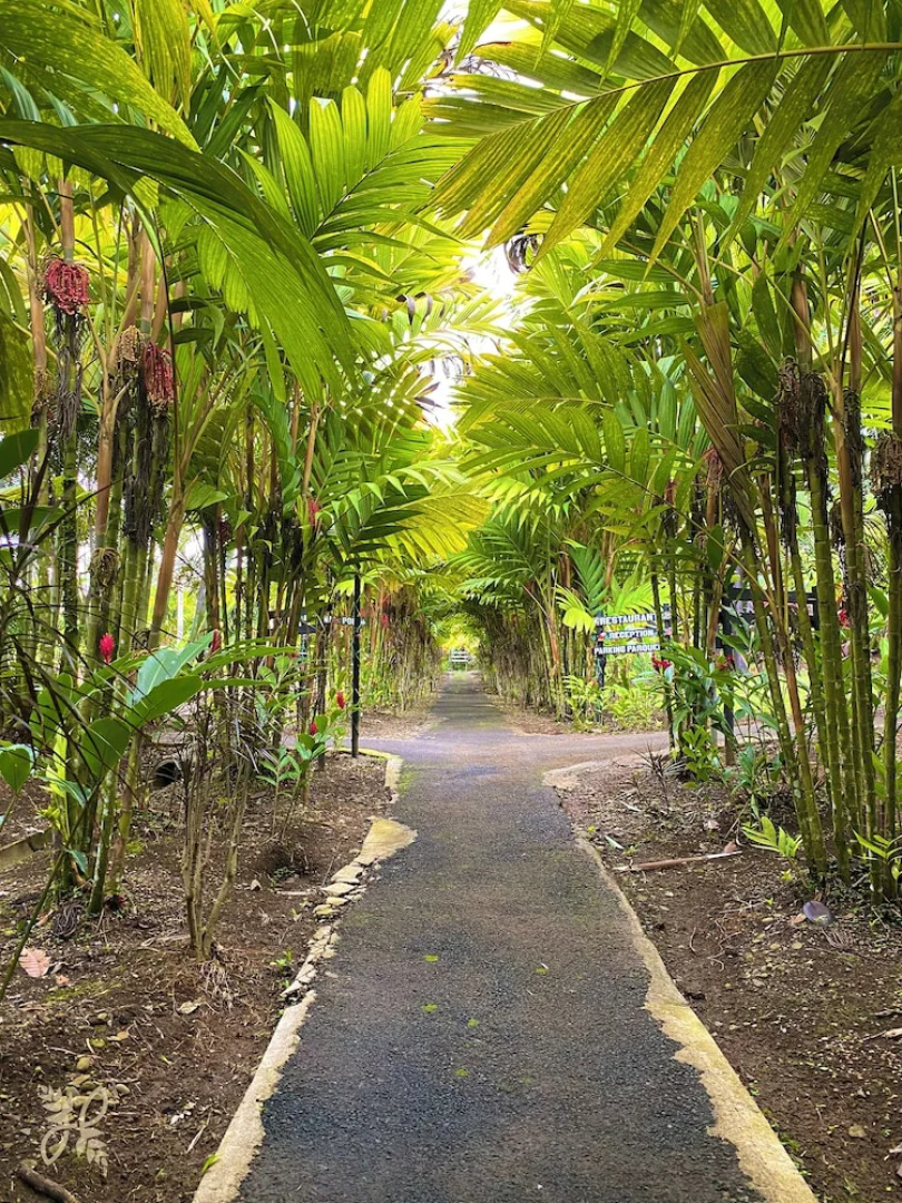 Hotel Heliconias Nature Inn & Hot Springs
