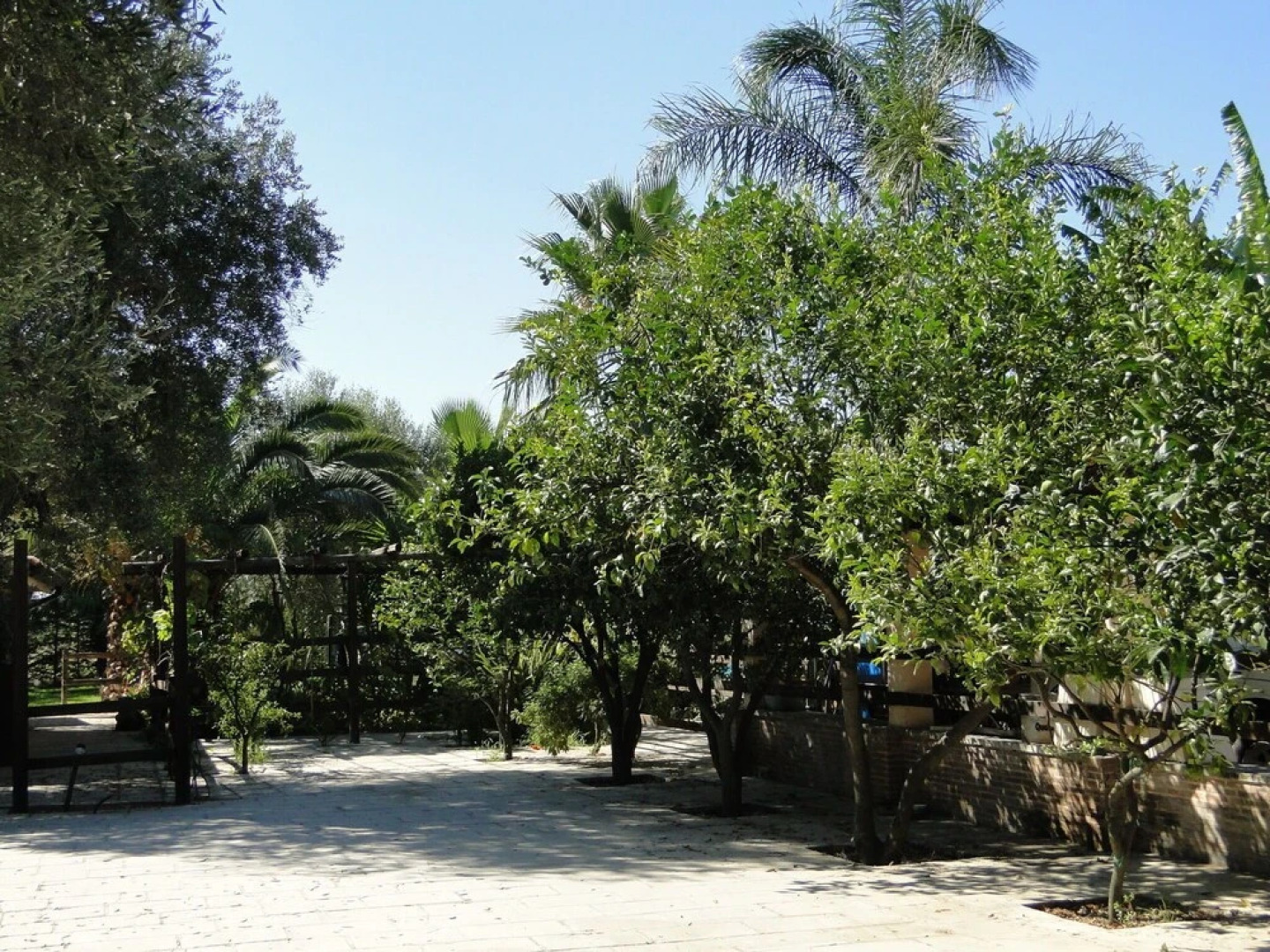 Vibrant Holiday Home in Matino With Swimming Pool