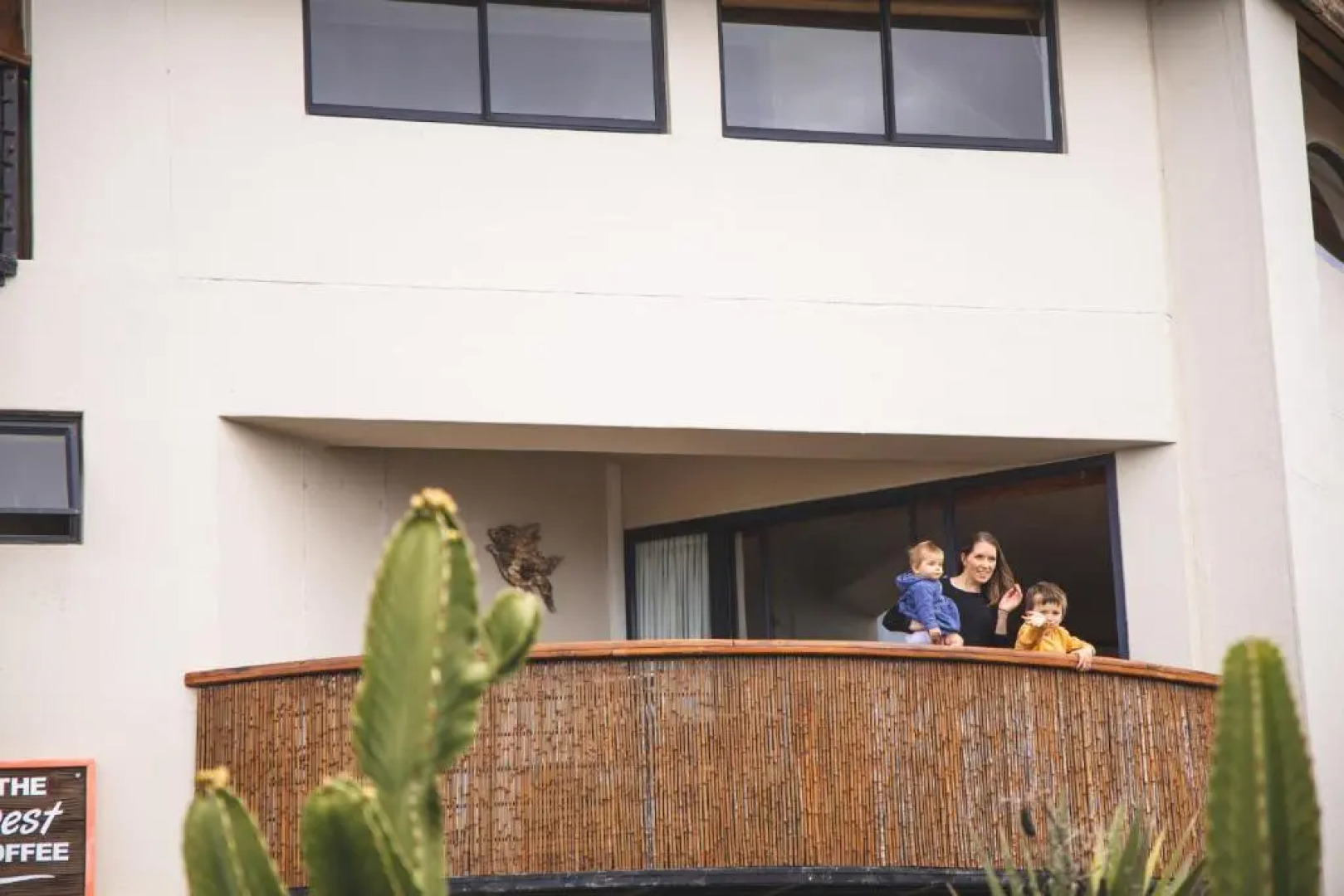 African Perfection 1