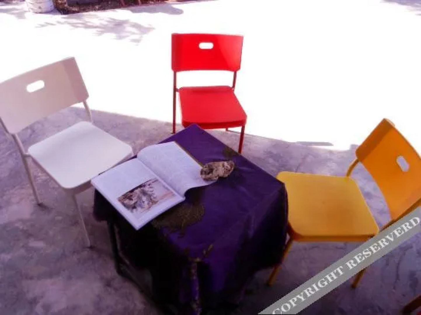 Ri Wa International Youth Hostel