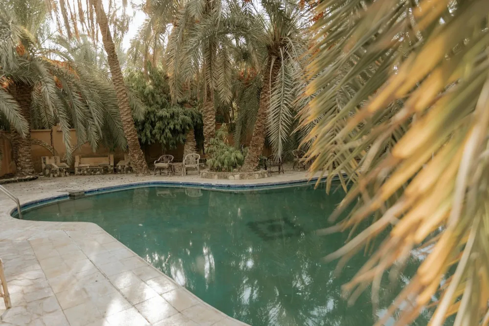 siwa safari paradise hotel