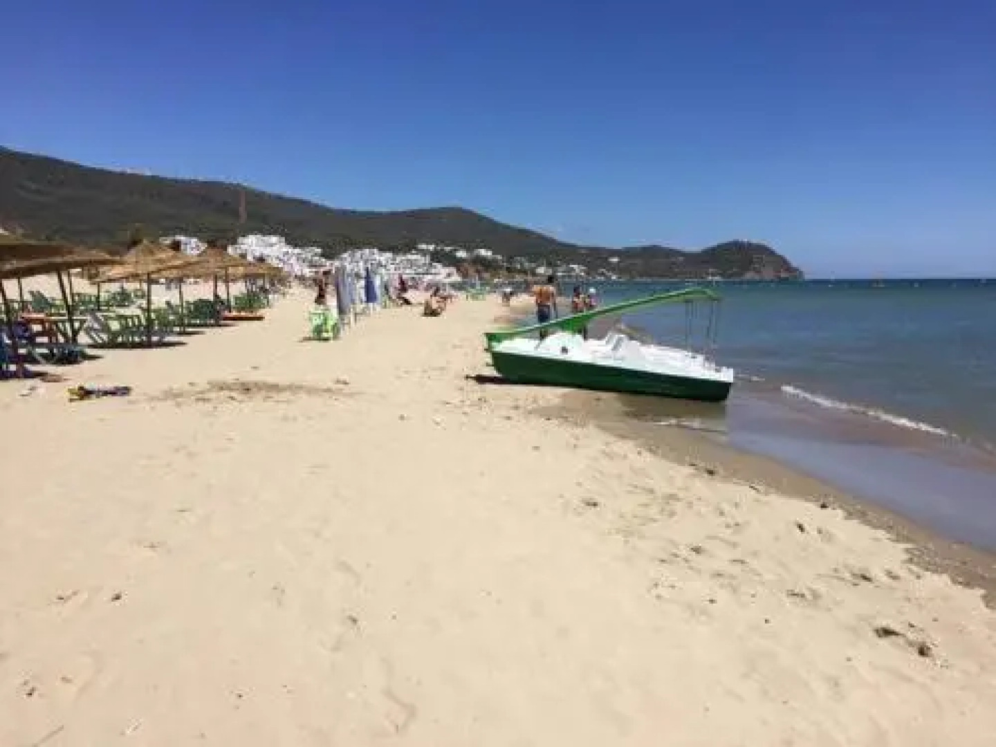 Lilac's Garden Cabo Negro