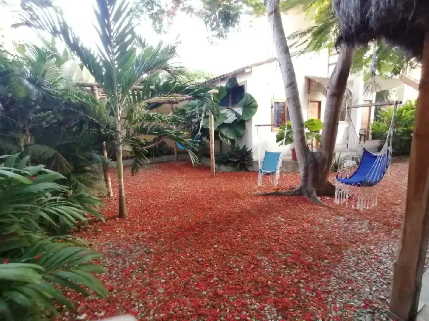 Tagualodge Hostel Manglaralto