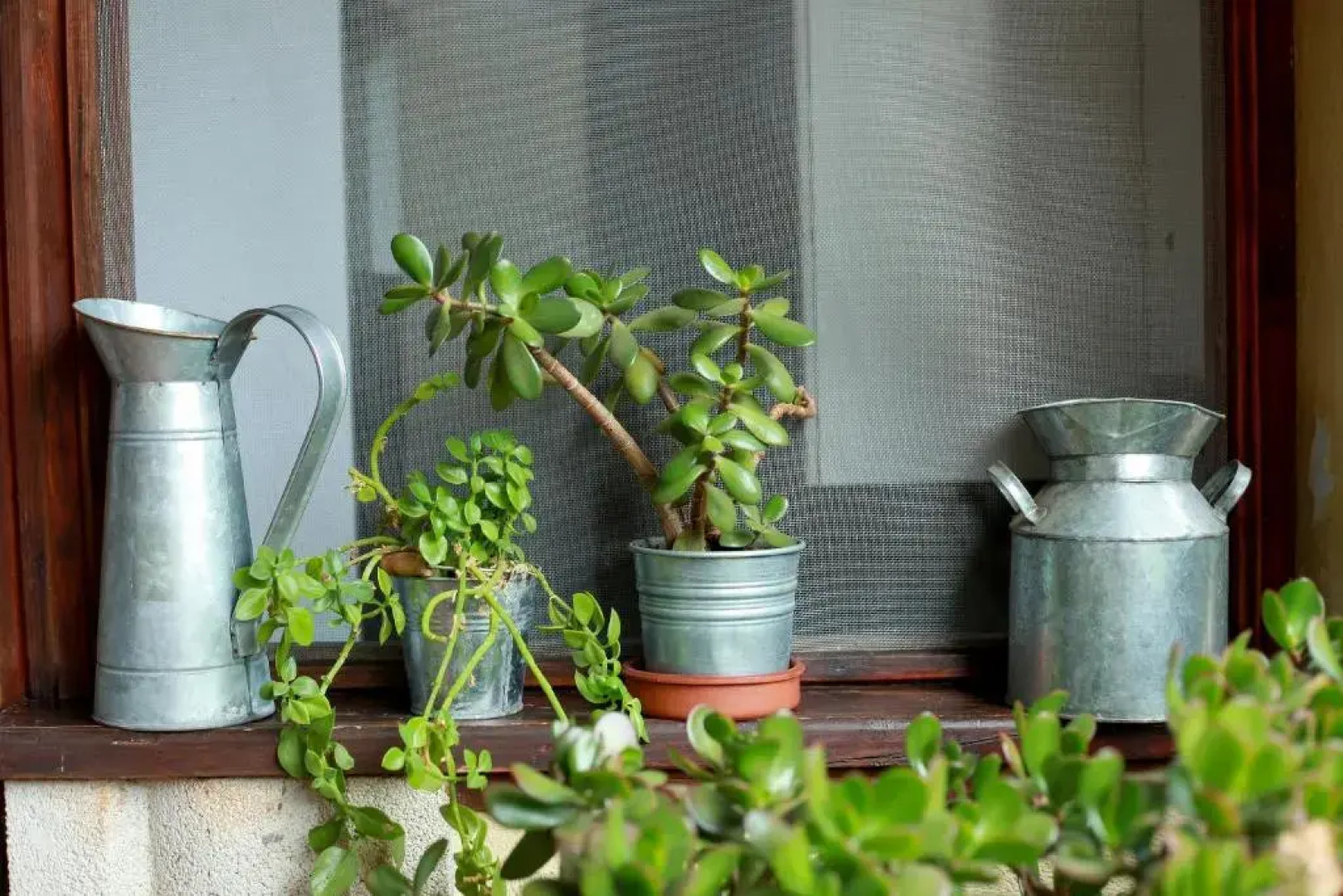 Azienda Agrituristica Il Pago