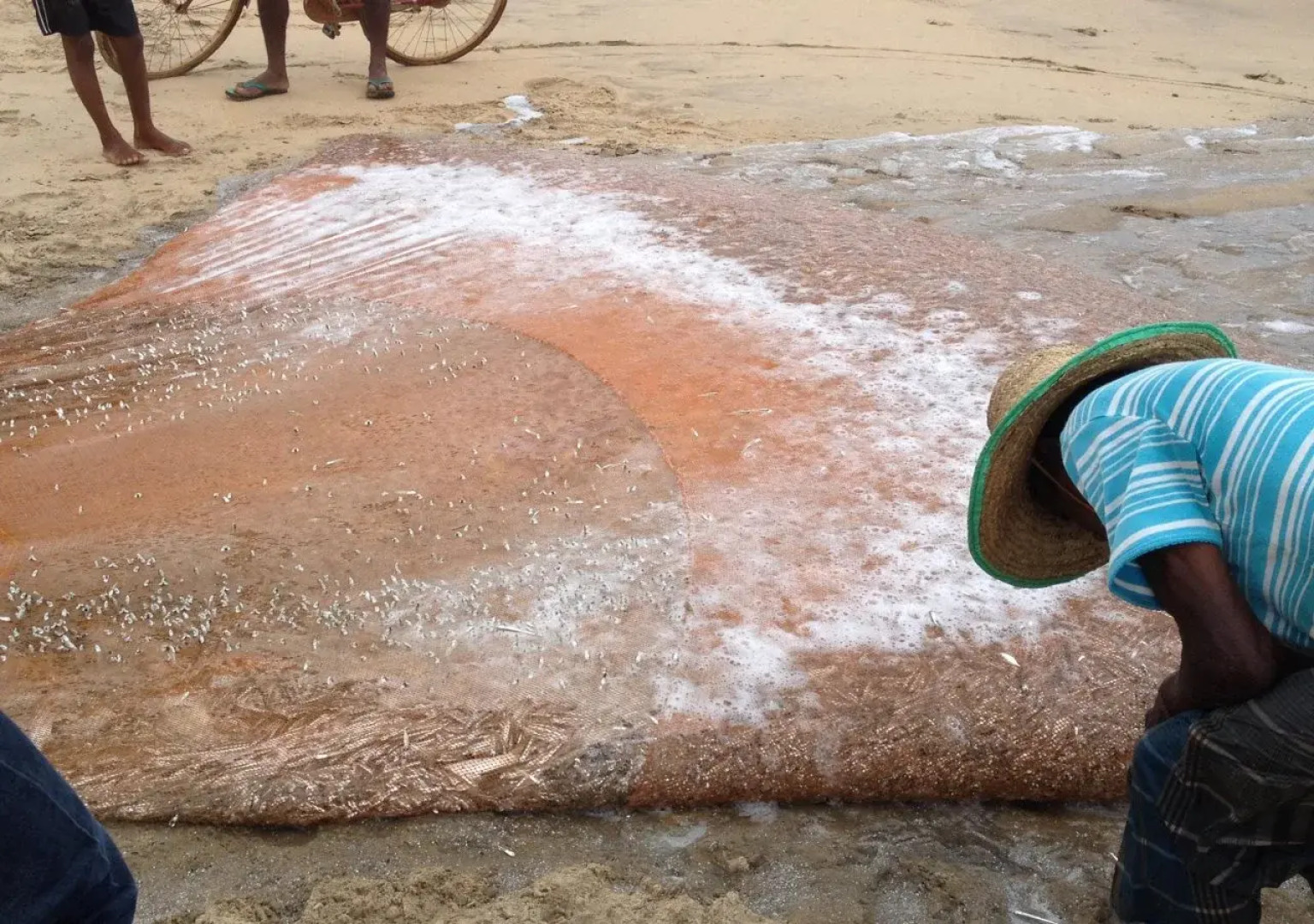 Alankuda Dolphin Village