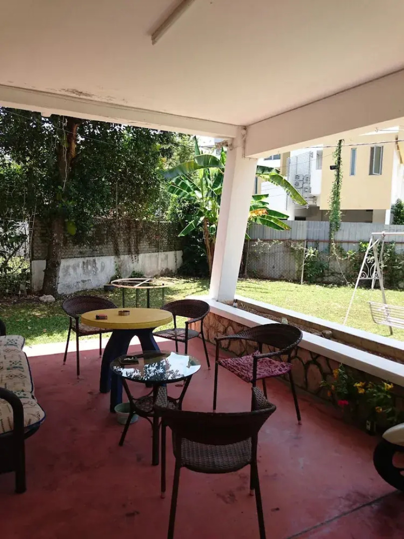 Sea Lion by the Beach