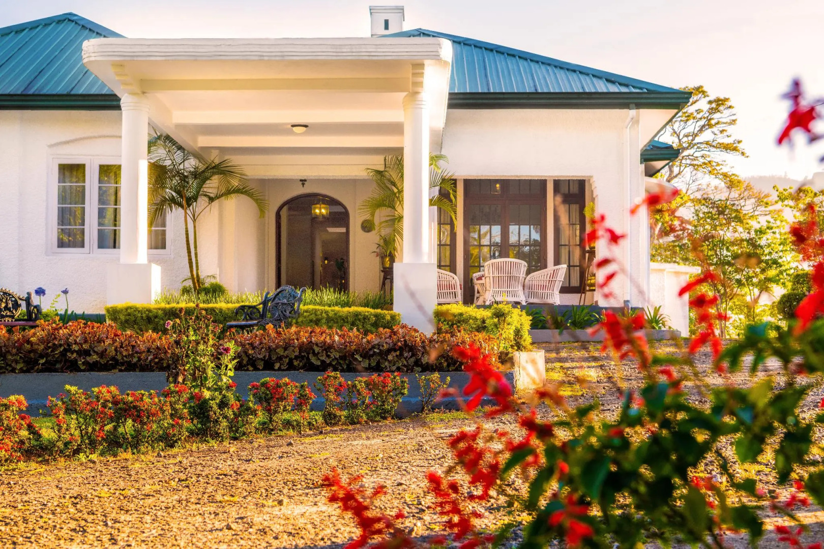 Dickoya by Zinc Journeys