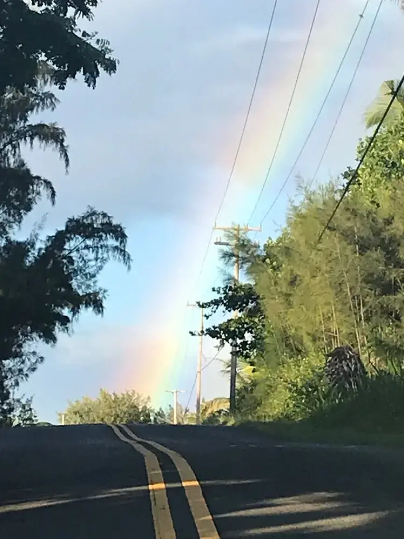 Sweet Spot Stay - Tikis and Treetops
