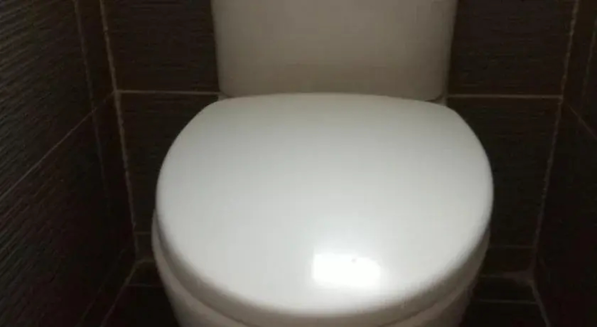 Harbourside Backpackers - Hostel