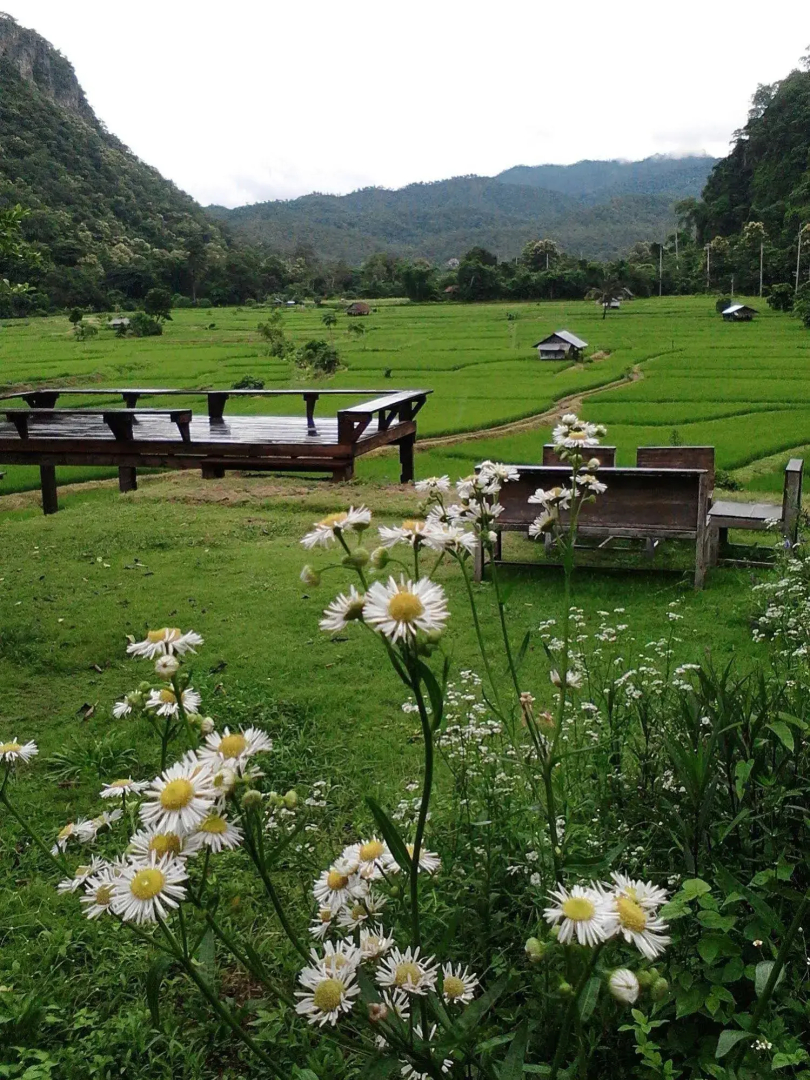 View Point Lodge