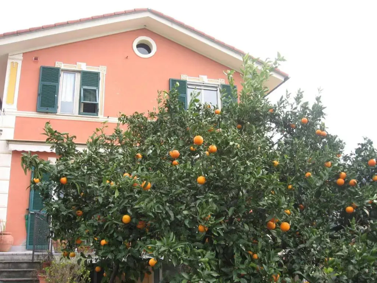 Le Clementine B&B