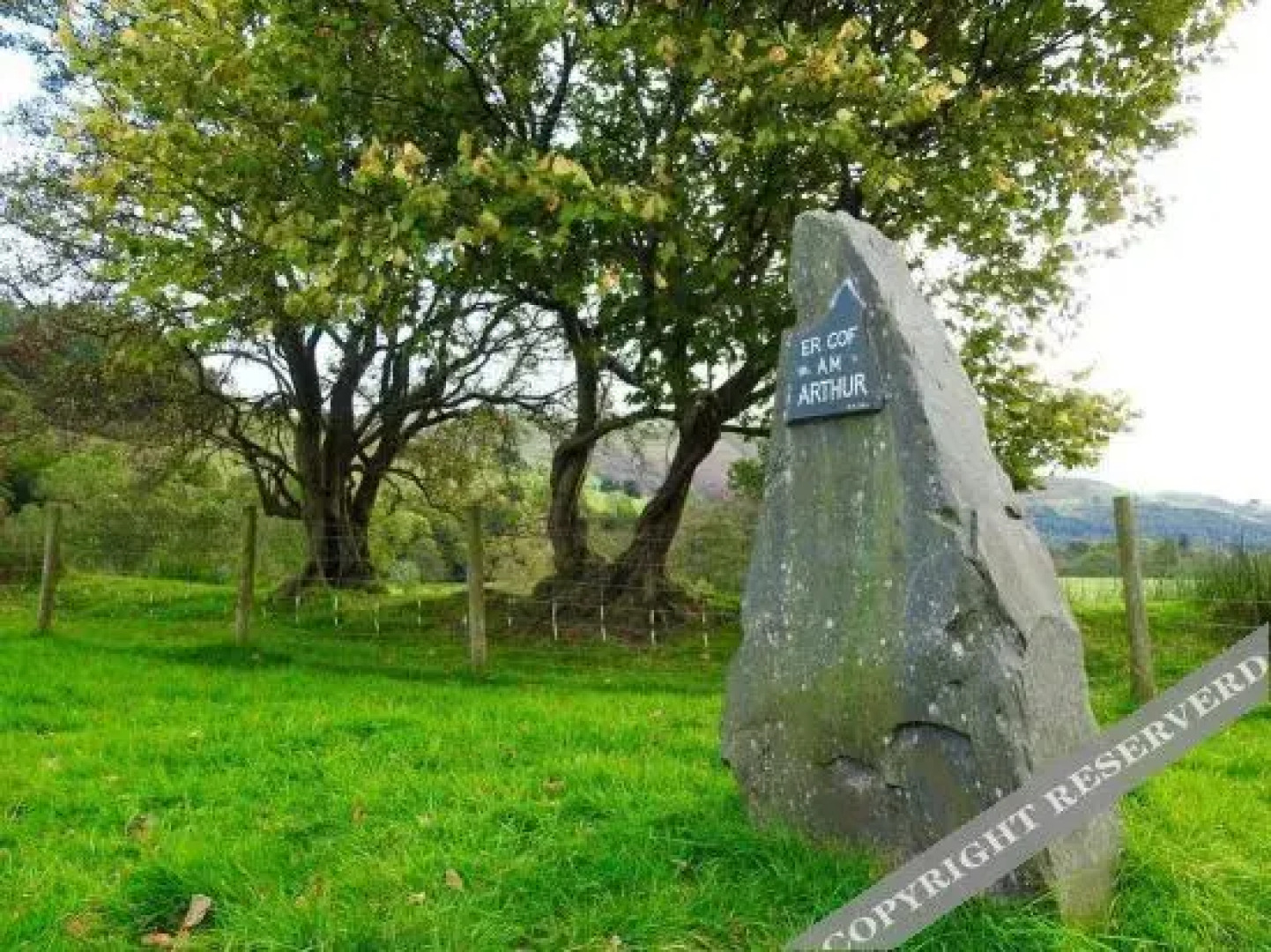 Ty Derw Country House B&B