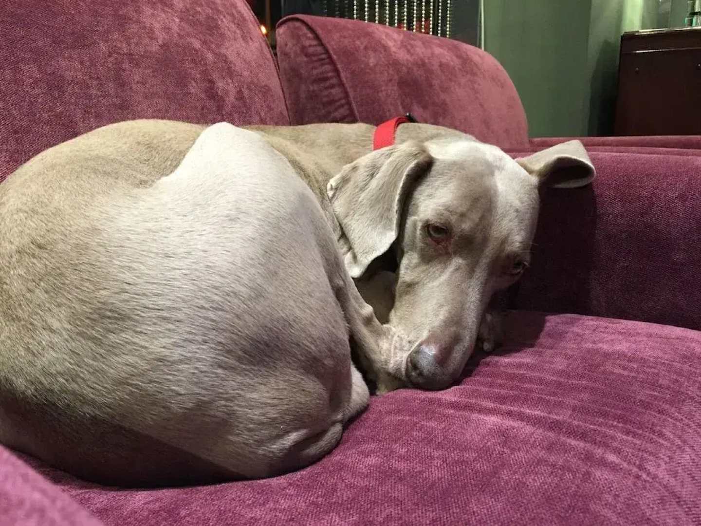 Latchis Hotel and Theatre