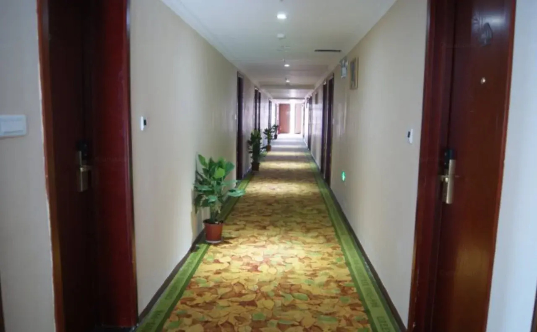 GreenTree Inn Jiangxi Xinyu Railway Station Square Express Hotel