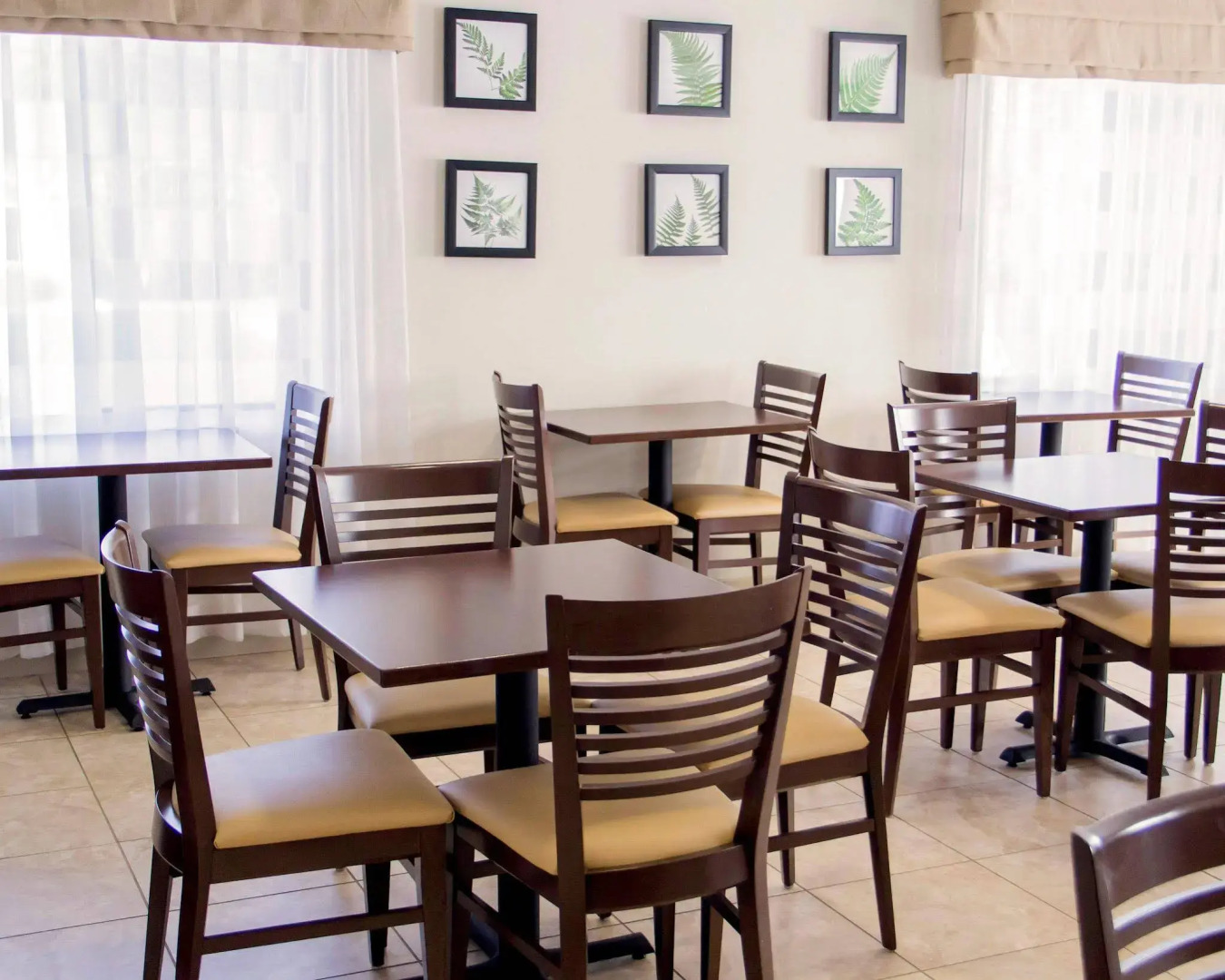 Sleep Inn & Suites Harrisonburg near University