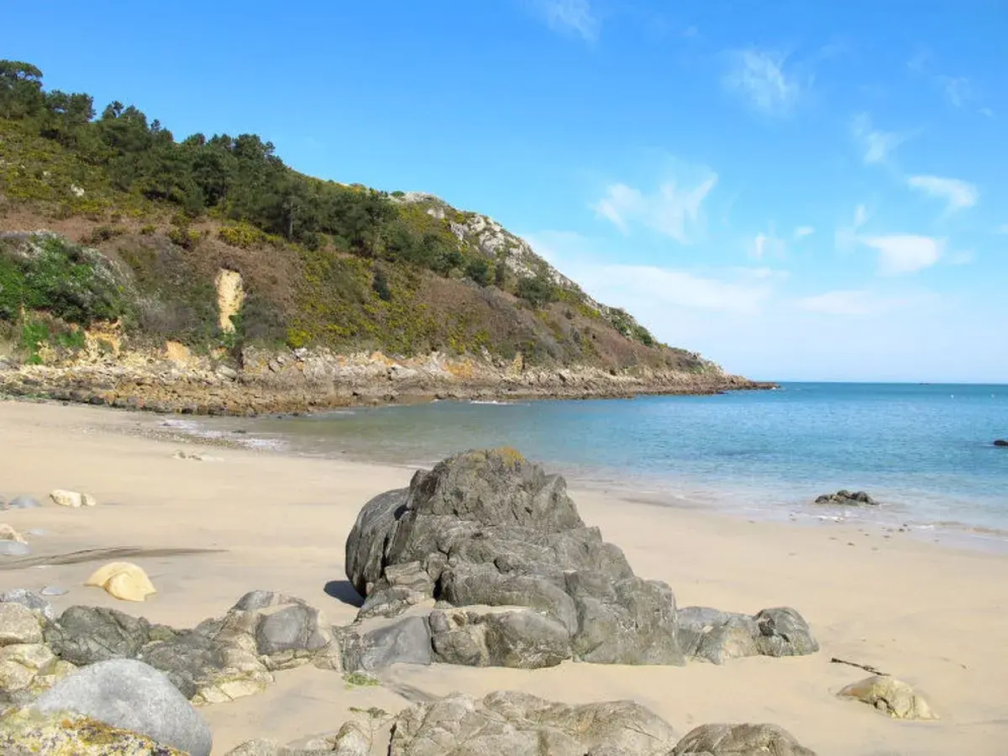La Part des Anges (GMC202)
