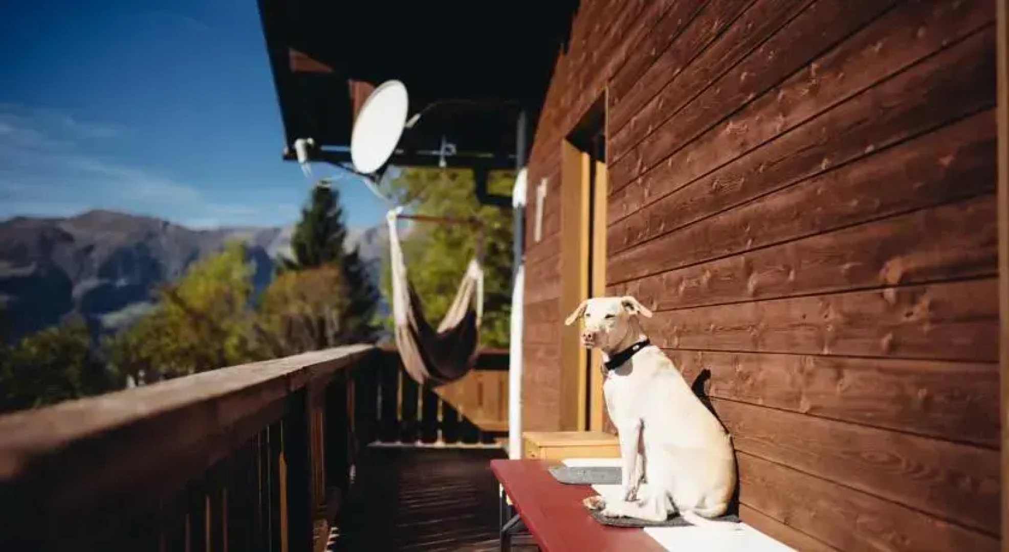 Bluebird Freeridebase Zillertal