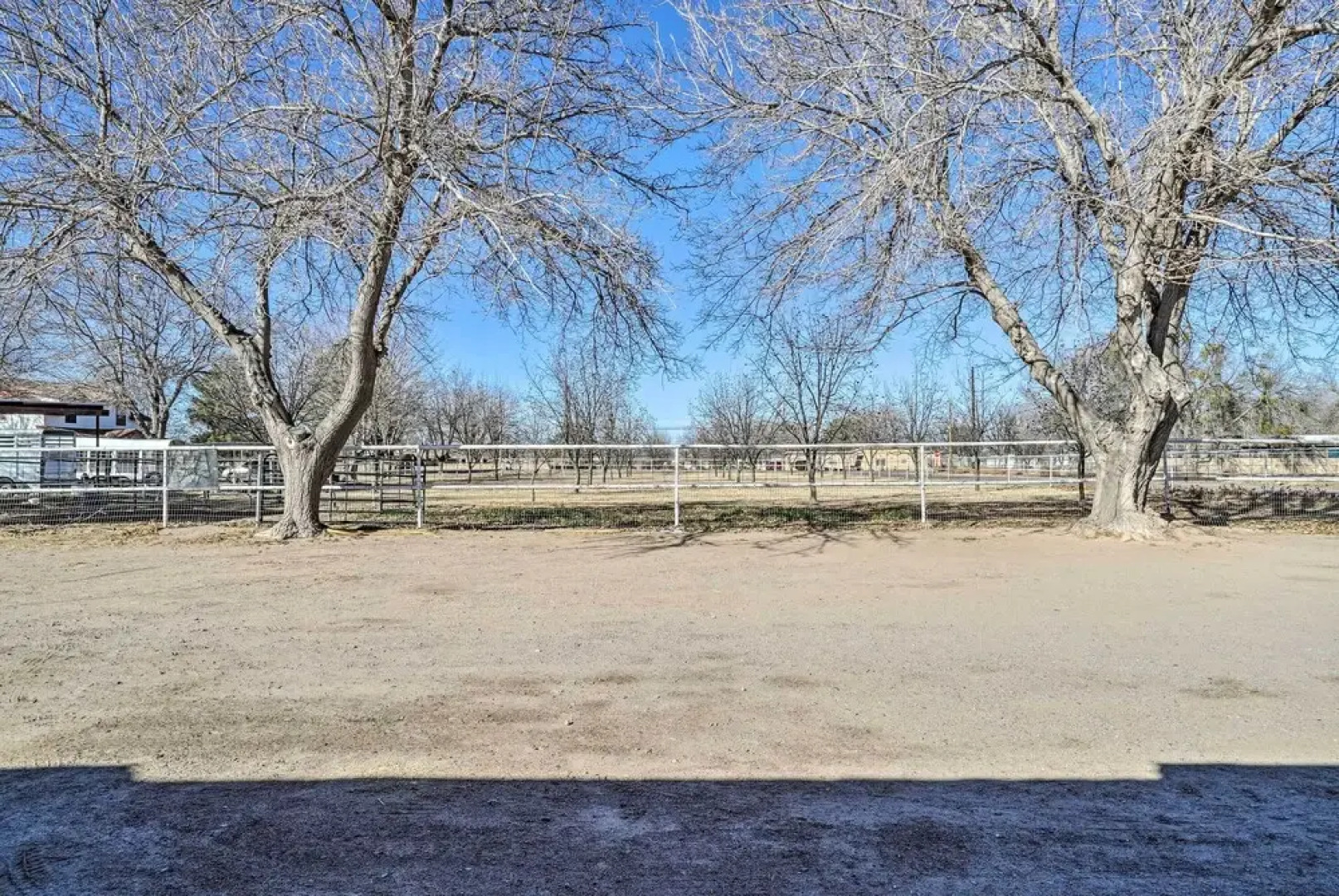 Cozy Las Cruces Apt on Pecan & Horse Farm!