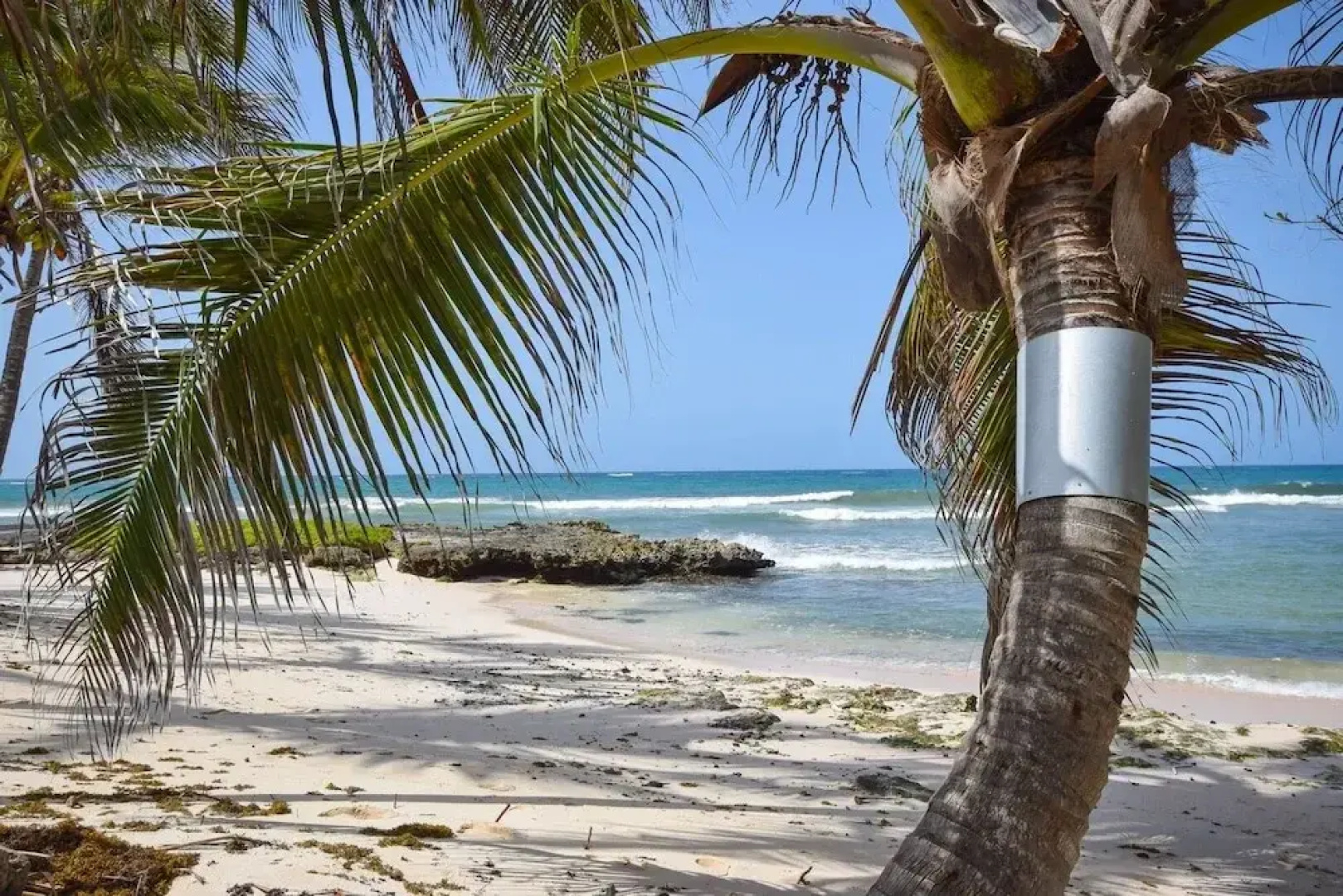 Oceanfront 2-bed Apt With Pool Near Surfing - Rosalie #2 2 Bedroom Apts by Bluescape