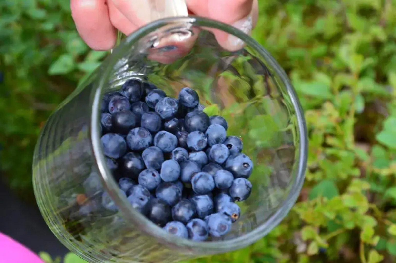 Lapland Dream Villas