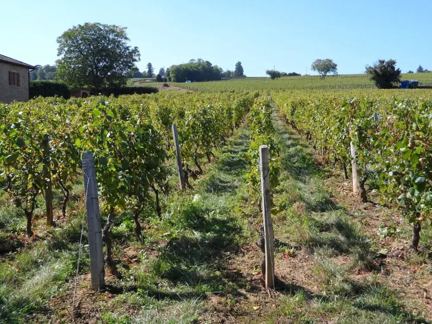 Vintage Farmhouse in Vinzelles with Pool