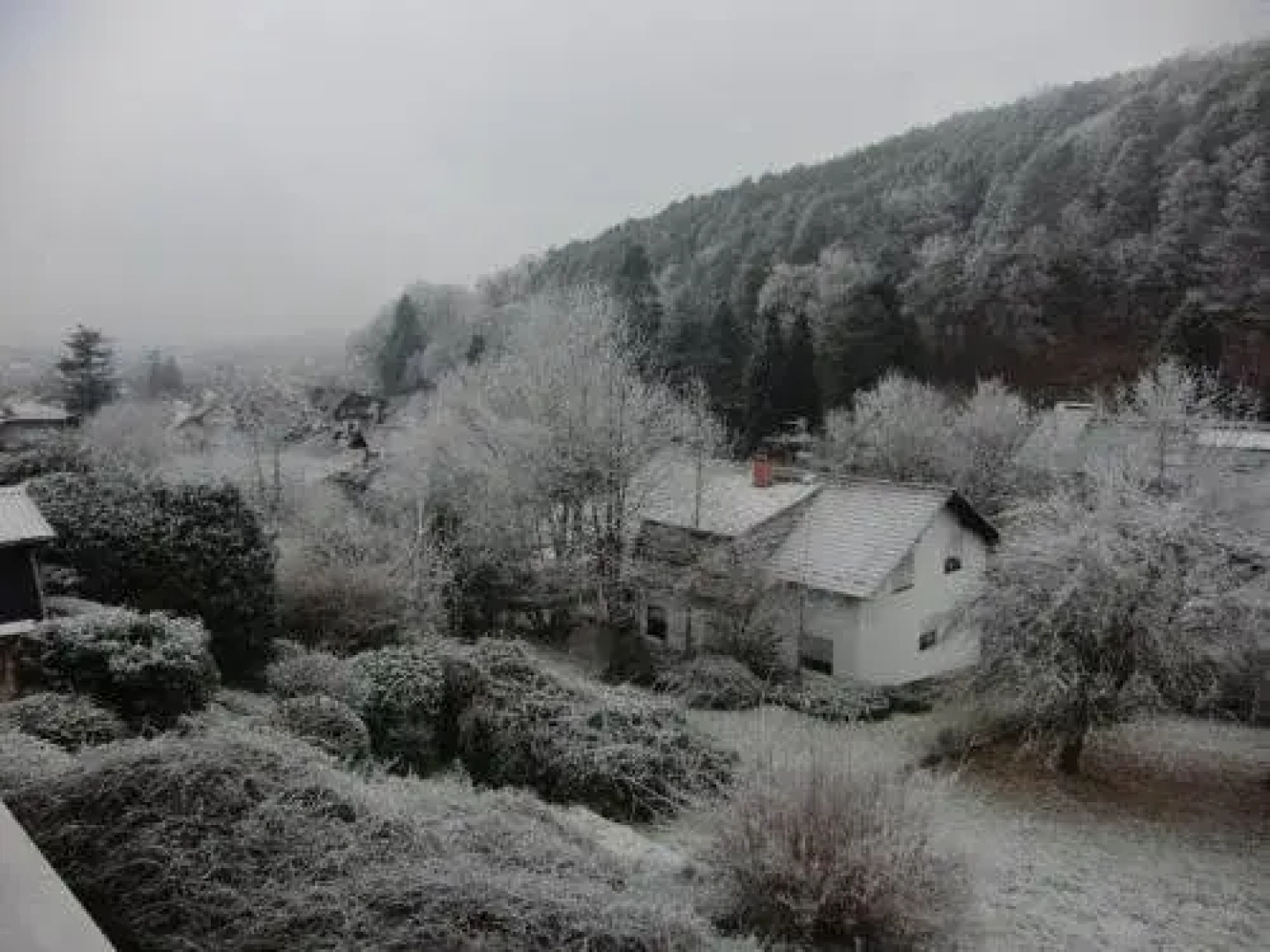 Pension Waldblick