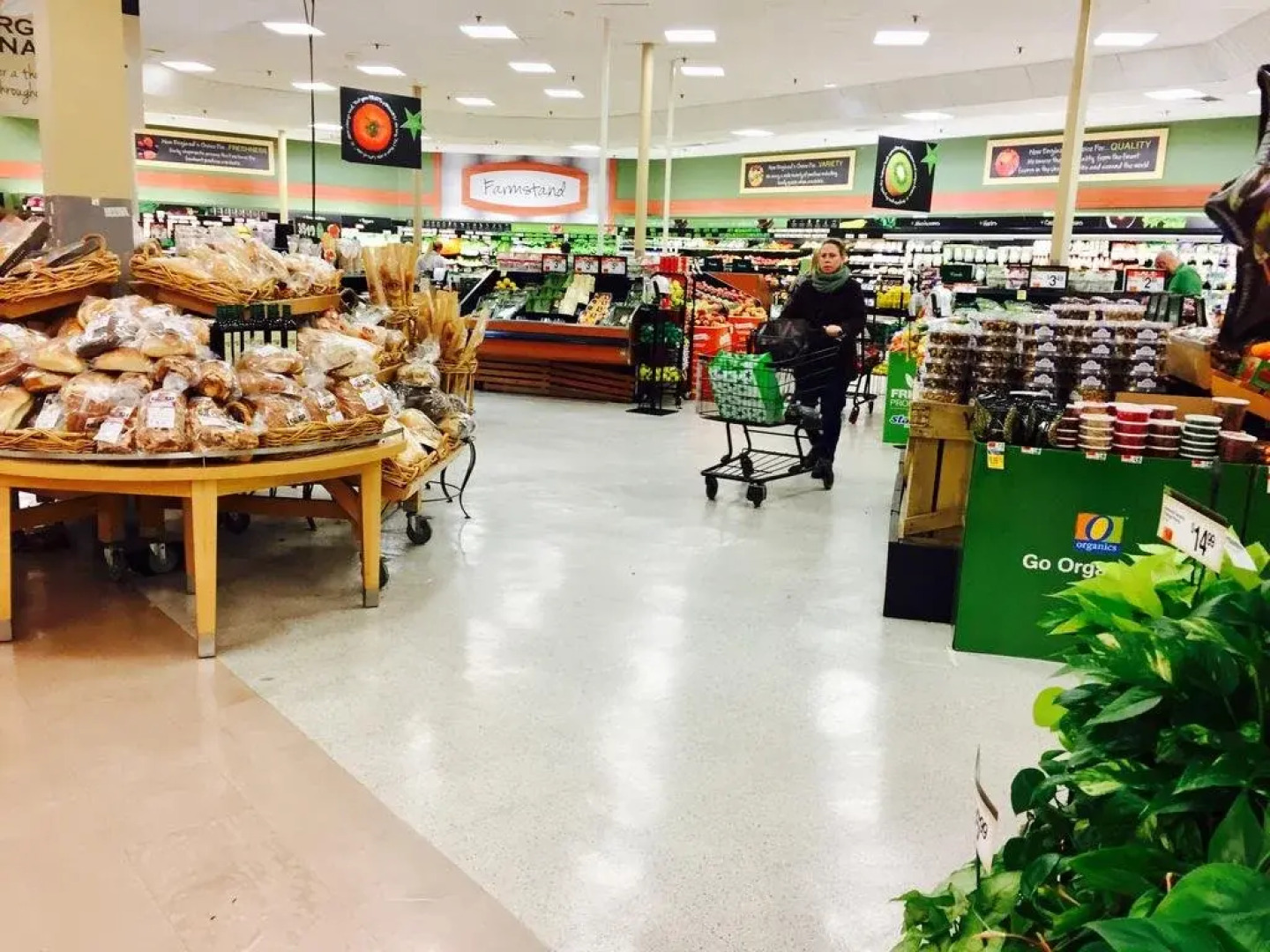 Tranquil House in Cambridge