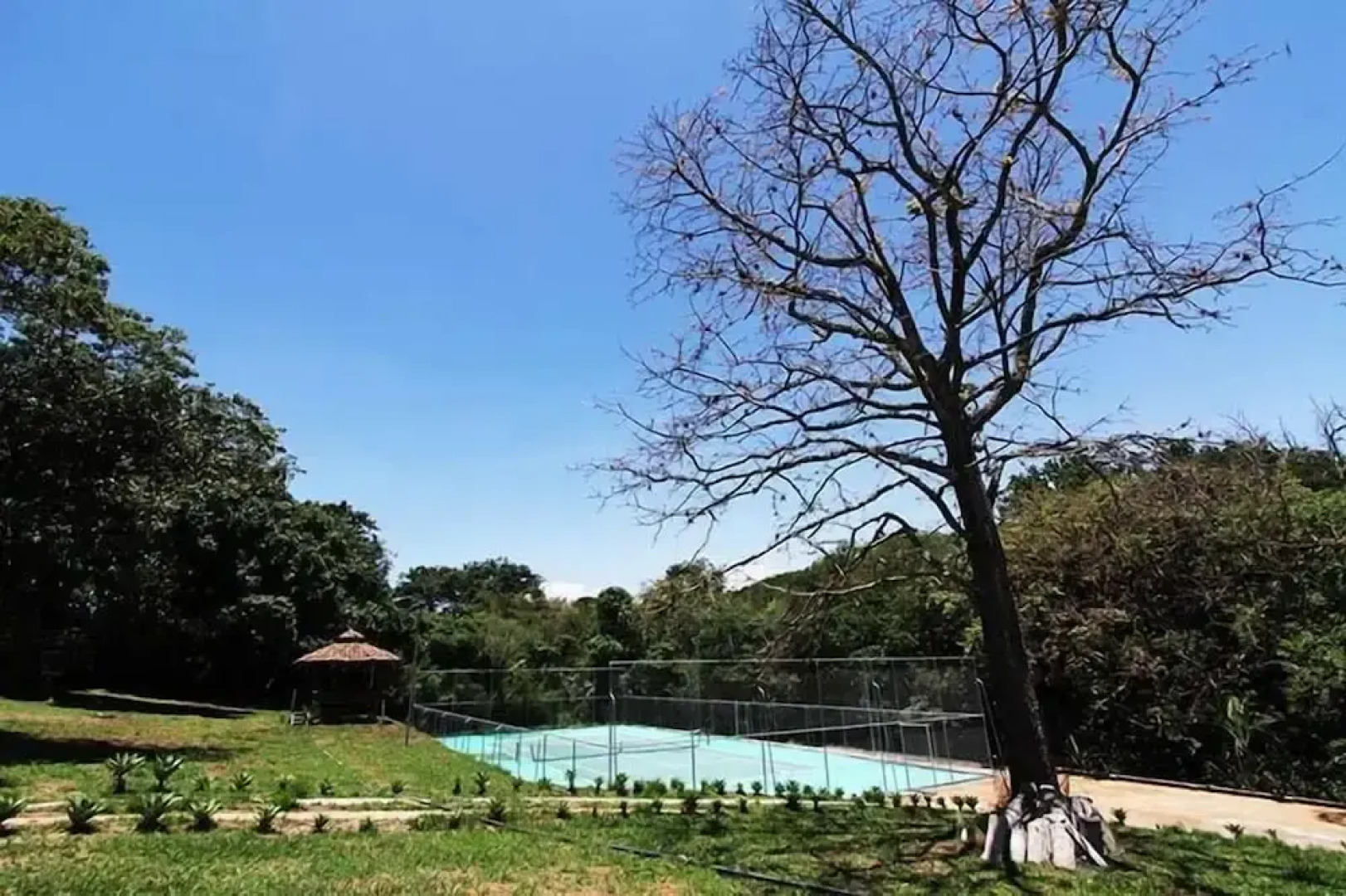 La Jacaranda Luxury Condos