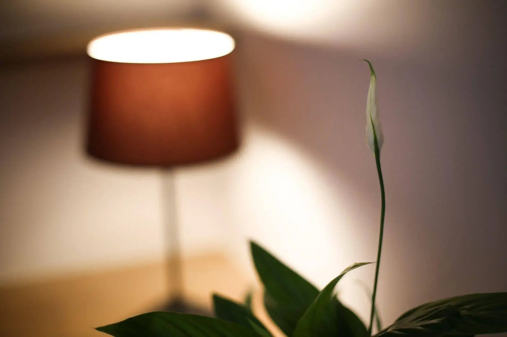 Val Lachard
